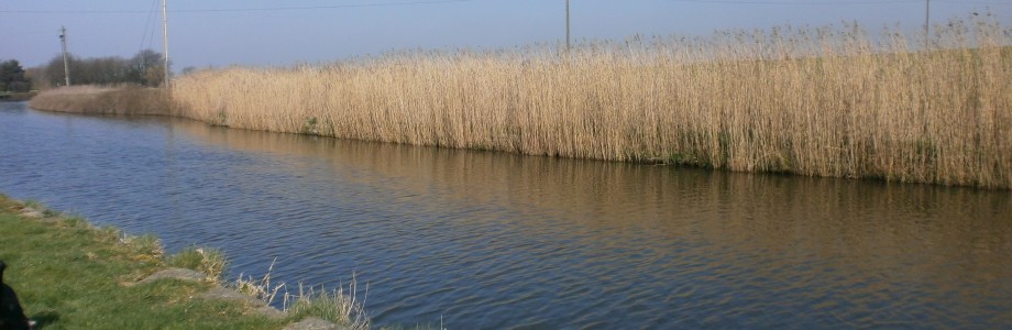 Leeds-Liverpool canal
