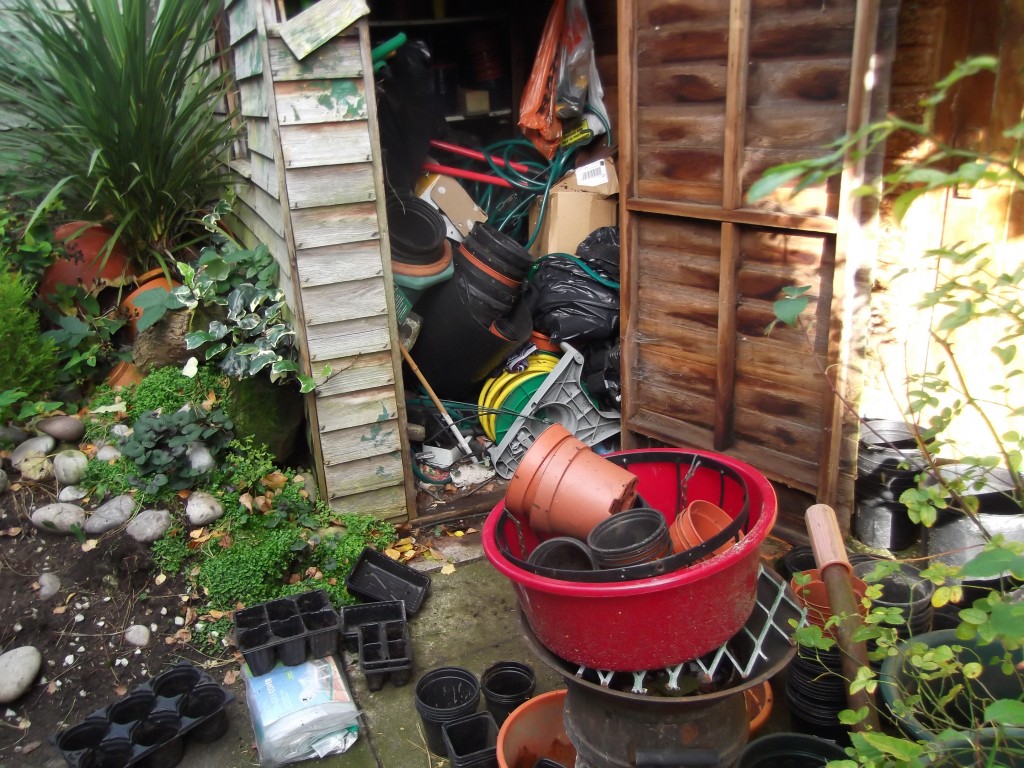 Time to sort the potting shed.